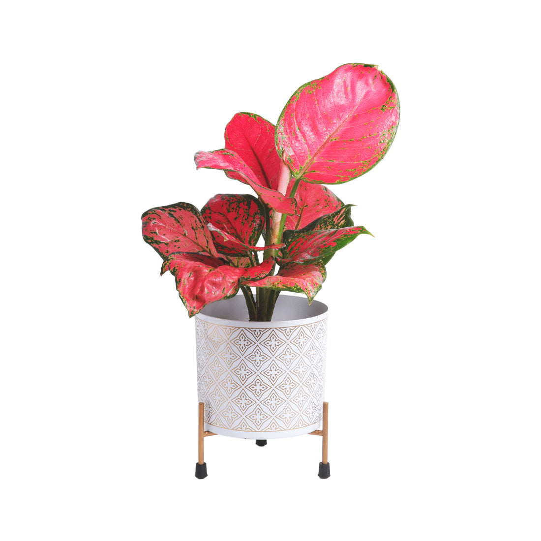 Dekornest Metal Pot with Stand 5 inch (1230A)