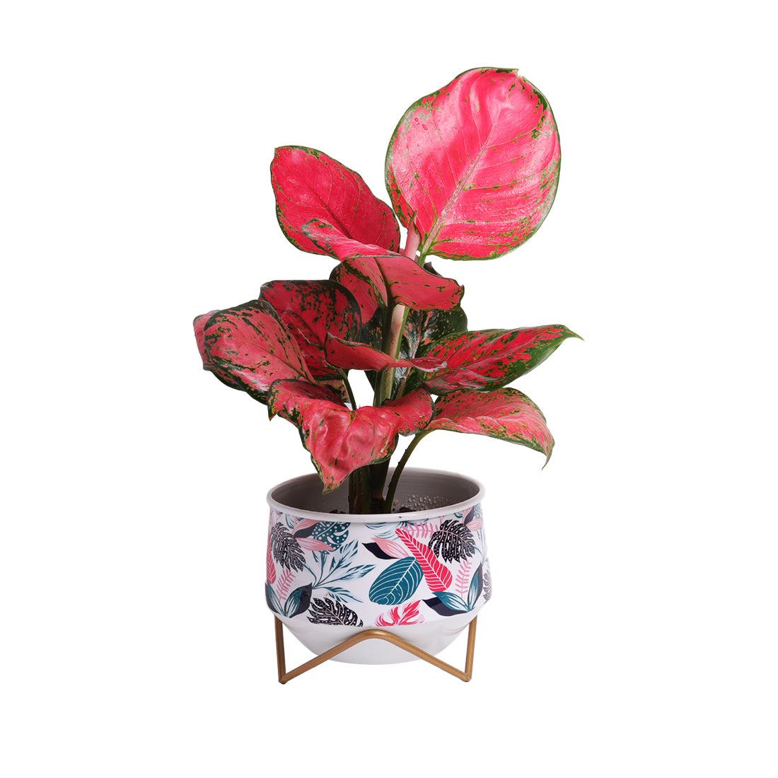 Dekornest Metal Pot with Stand 5 inch (1322F)