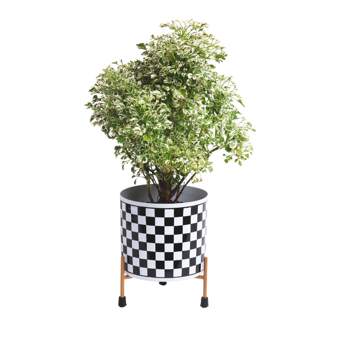 Dekornest Metal Pot with Stand 5 inch (1230D)