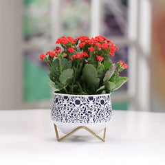 Dekornest Metal Pot with Stand 5 inch (1322J)