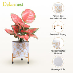 Dekornest Metal Pot with Stand 5 inch (1230B)