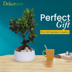 Dekornest Handi Pot without stand (1330C)