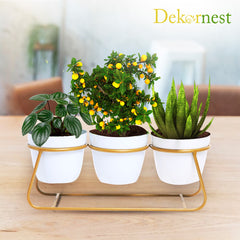 Dekornest 3 Pot with Stand (1306B)