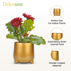 Dekornest  Iron Gold Finish Pot (1509)