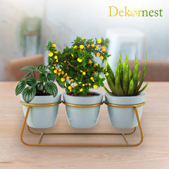 Dekornest 3 Pot with Stand (1306C)