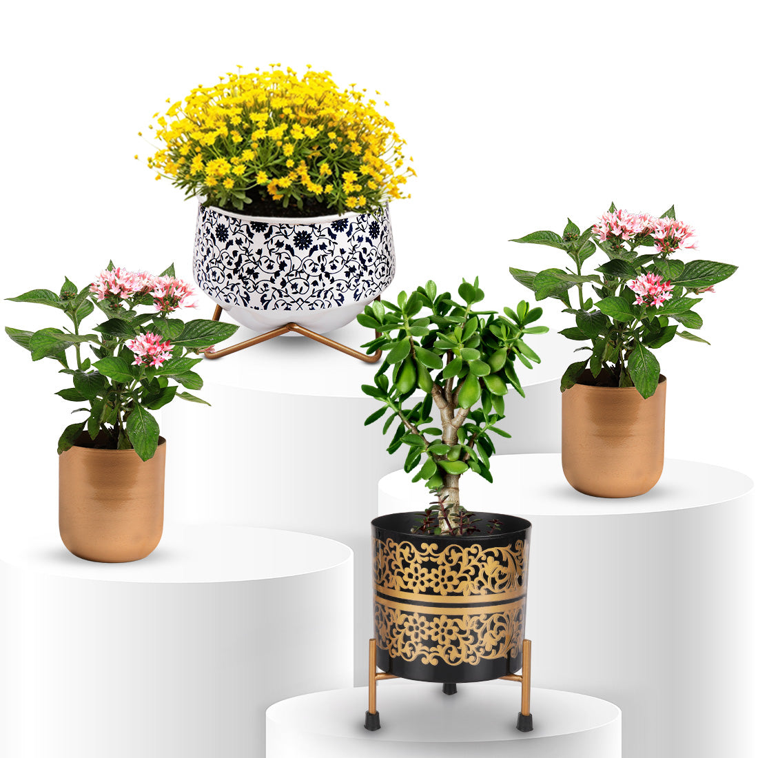 Monsoon Combo Iron Golden Print Pot with Stand (1322 J, 1208 A, 1202 Gold) Set of 4